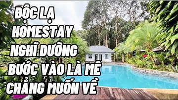 Không có thời gian quản lý chị Linh cần nhượng lại Homestay nghĩ dưỡng ven rừng cực đẹp ở BR-VT.