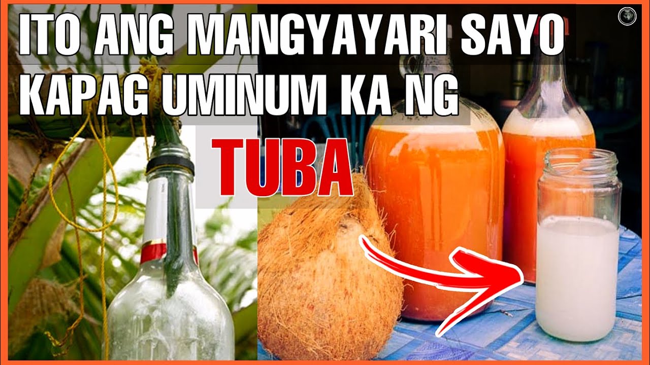 ITO ANG MANGYAYARI SAYO KAPAG UMINOM KA NG TUBA O COCONUT WINE Bhes