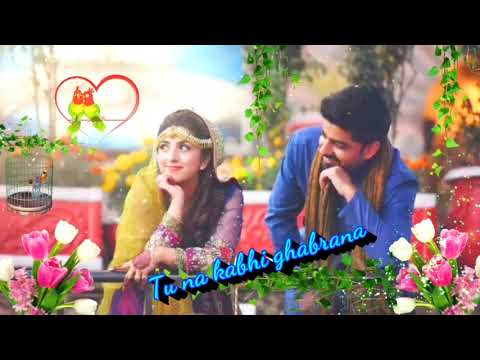 💛🌷feeling-love-statu-video🌸🌹||milne-ki-tum-koshish-whatsapp-stayus-video||filmi-status-videos