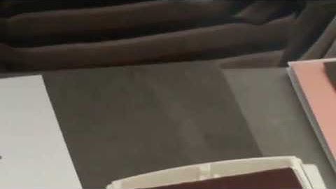 Sheltering Tree Spotlight IV