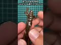 【バス釣り】おすすめのフックキーパー！（詳しくは詳細欄に記載）