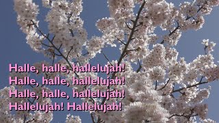 Halle, Halle, Hallelujah [with lyrics for congregations] Resimi