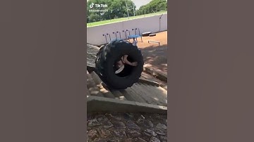 vah bete mauj kar di new viral video