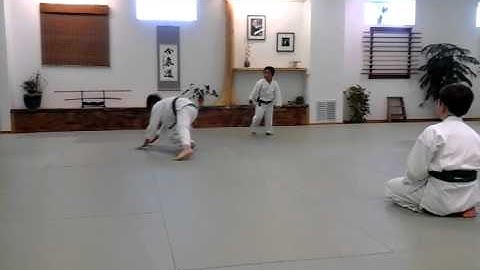 7th Kyu Tests