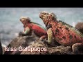 Islas Galápagos