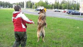 MVI_4447.avi