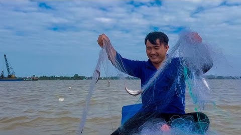 Canh Theo Con Nước Cá Ra Mấy Anh Em Lái Võ Lãi Ra Sông Lớn Giăng Lưới Dính Cá Thấy Mà Ham # HCCSMT