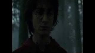 Love will find a way-Harry and Ginny