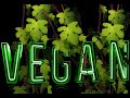 ヴィーガン・ライフを始めよう♪ ビーガン・ライフを始めよう♪Vegan Love Song ♪Animal Rights Song ♪Animal Welfare Song♪