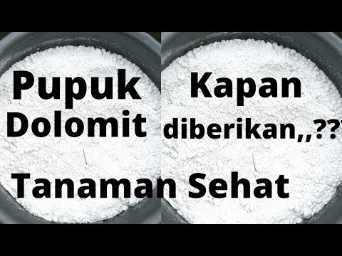 Video: Tepung Dolomit Untuk Membantu Penghuni Musim Panas