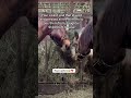 Be the hope—help us raise $700 to save our sanctuary (London)