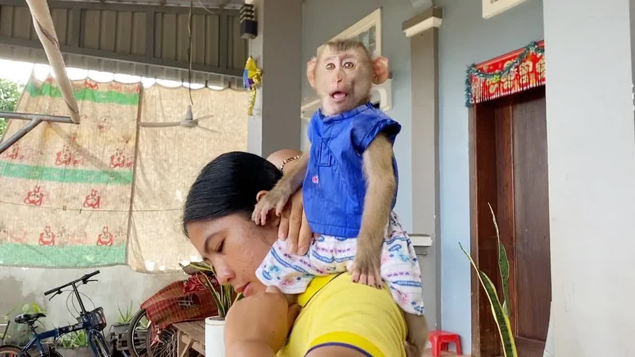 Big Boy DAM Sitting On Mom's Shoulder Accompany Dry Cloths