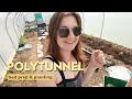 Prepping the polytunnel for growing season beds in  planting veg part 1
