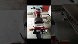 Kumpulan Scorpio Gantengterbaru 2020