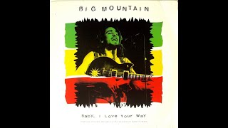BIG MOUNTAIN   BABY I LOVE YOUR WAY EADG BASS TAB   BACKING TRACK
