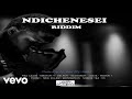 ChillSpot Records - Ndichenesei Riddim Dub