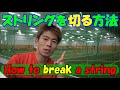 ガットを切りたい人、でも切れない人に！For those who want to break gut, but those who can't!