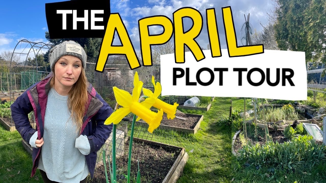 April Plot Tour - The Allotment this Month || Plot 37 - YouTube