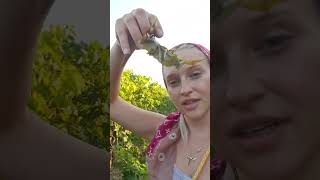 Erkeklerin Görücü Usulünden Beklentisi?