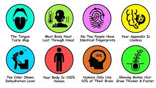 Debunking Human Body Misconceptions in 7 Minutes