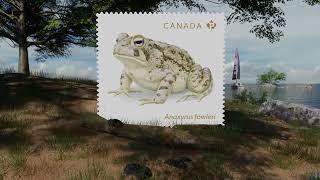 Endangered Frogs stamp issue features Fowler’s toad