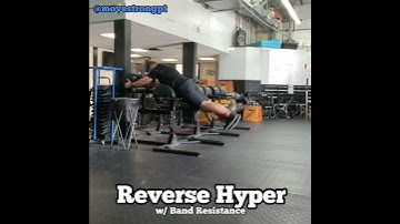 Reverse Hyper w/ Band