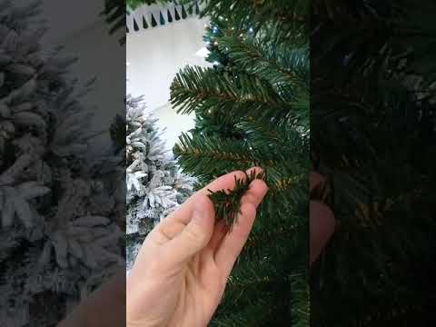 Лесная сказка