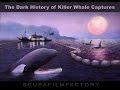The Dark History of Killer Whale Captures