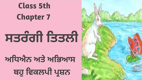 Punjabi class 5 chapter 7 Lesson 7 Questions Answers | Satrangi Titli | 5th class Punjabi Chapter 7