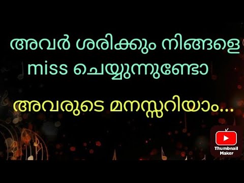 അവരുടെ മനസ്സറിയാം Do they miss you#love#tarot 