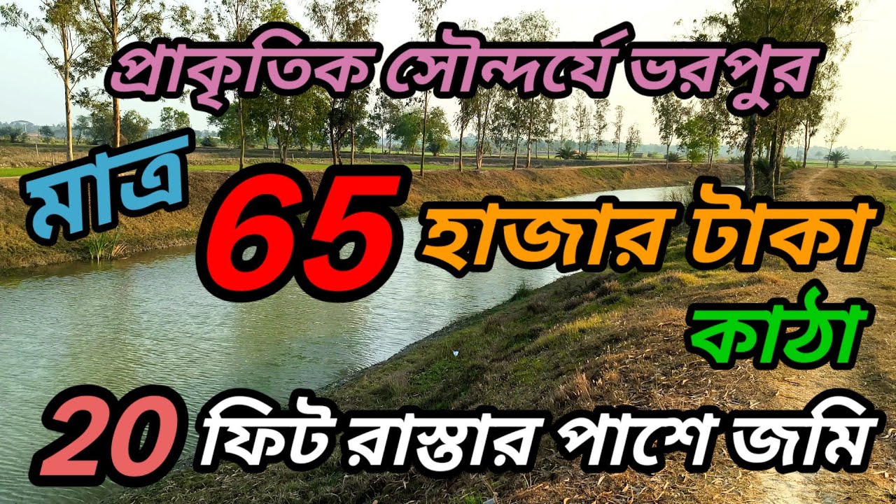 সস্তায় 20 ফিট রাস্তার পাশে জমি বিক্রয়, প্রাকৃতিক সৌন্দর্যে ভরপুর এই জমি, বাগান বাড়ির উপযুক্ত .