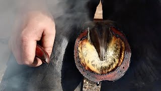 LOOK AT THAT BURN! (Hoof Restoration)