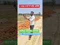 Plot sale Kashipur Uttarakhand