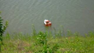 IMG 1483