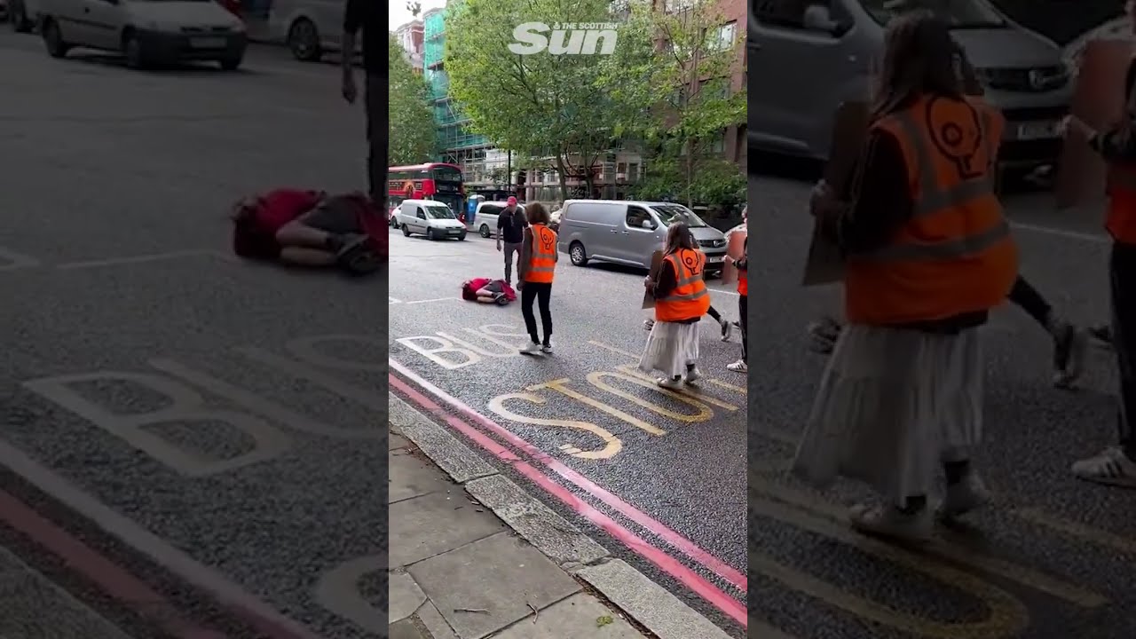 Shocking Moment Motorist Attacks Just Stop Oil Activist During Go Slow March