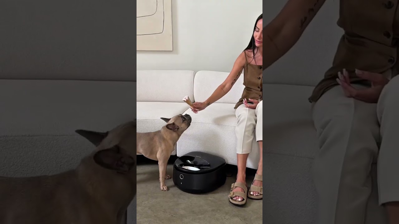 Polar Smart Wet Food Feeder Frenchie