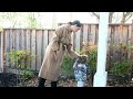 Matteo & Buddy pick BERRIES in the garden!