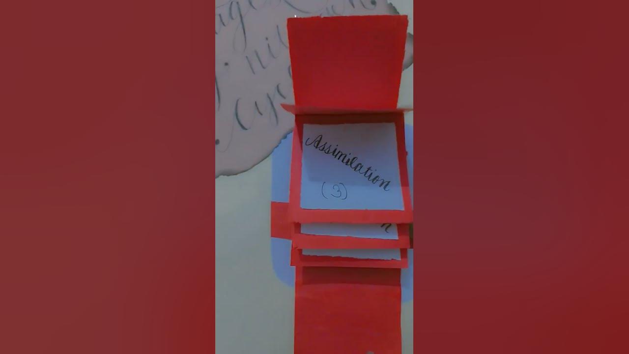 steps-of-nitrogen-cycle-science-project-decoration-ideas