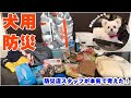 防災店スタッフが本気で考えた愛犬用防災セット！【防災グッズ】