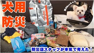 防災店スタッフが本気で考えた愛犬用防災セット！【防災グッズ】