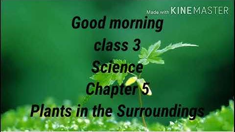 Class 3 Science Chapter 5 Plants in the Surroundings,(Flowers)