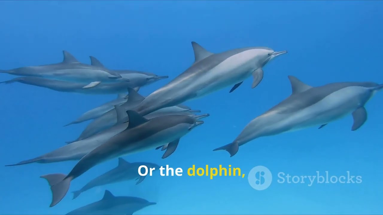 The struggle for survival: the smartest animal strategies for survival