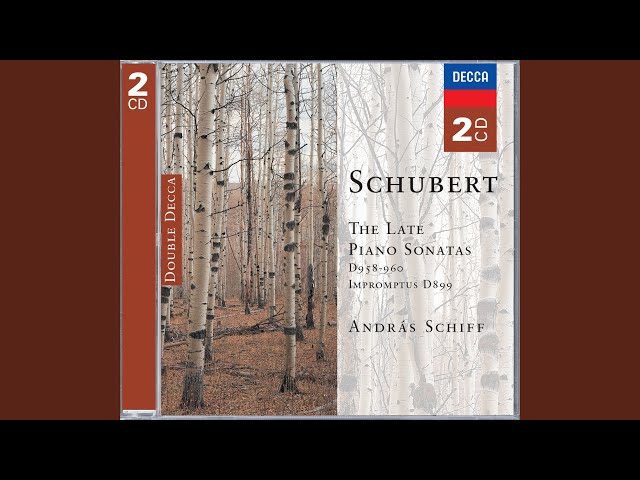 Schubert - Sonate pour piano en La M D.959: 3e mvt : Andras Schiff, pianoforte