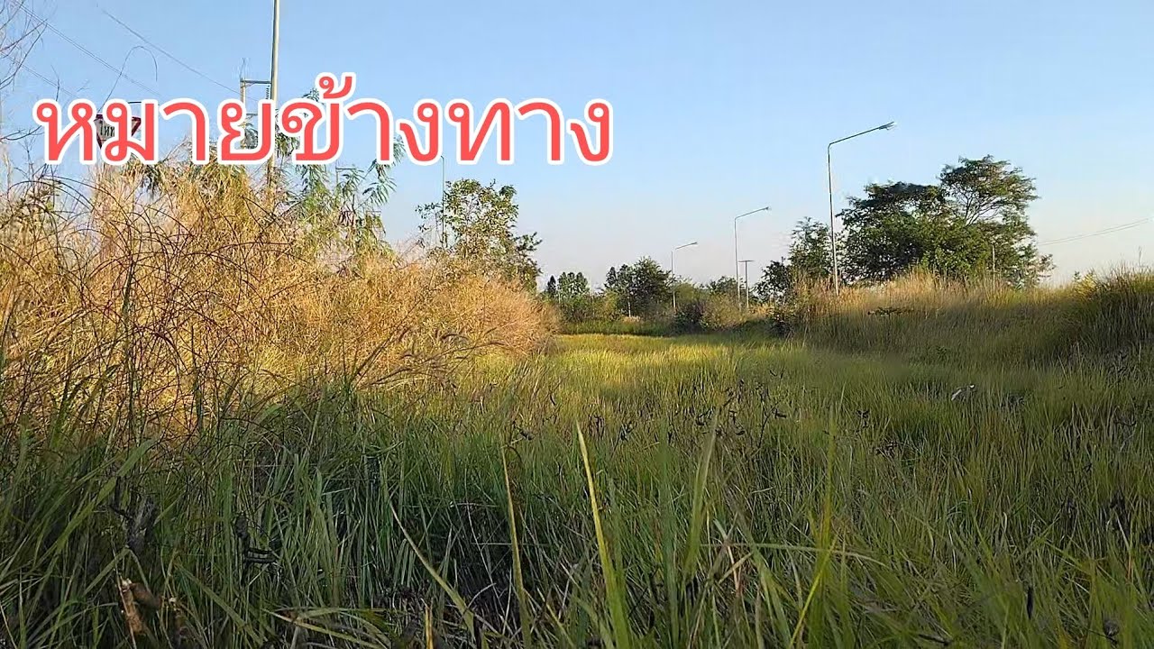 บ่เอาขี้กะไต้ ต้องเจอสูตรนี้ 