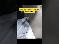 fired and refusing to leave work