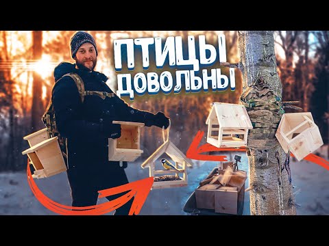 4 дня, 50 километров, 20 кормушек!