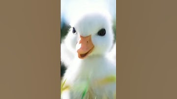 #viral|configuration perfecta para Samsung j1,j2,j3,j5,j7, a10,a20,a30,a40,a70, s1, s2, s3, s4, s5,