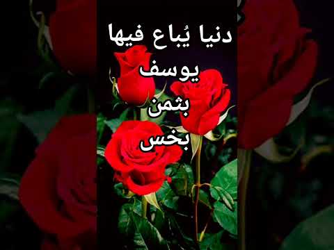 دنيا ي باع فيها يوسف بثمن بخس دنيا ي باع فيها يوسف بثمن بخس