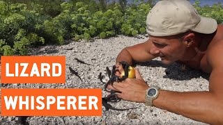 Lizards Crawl On Man's Hands | Lizard Whisperer || FailCamp