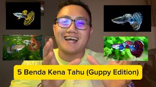 'Tips Penjagaan Ikan Guppy & Asas Akuarium yang Perlu Korang Tahu'